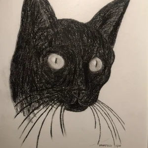 Chat