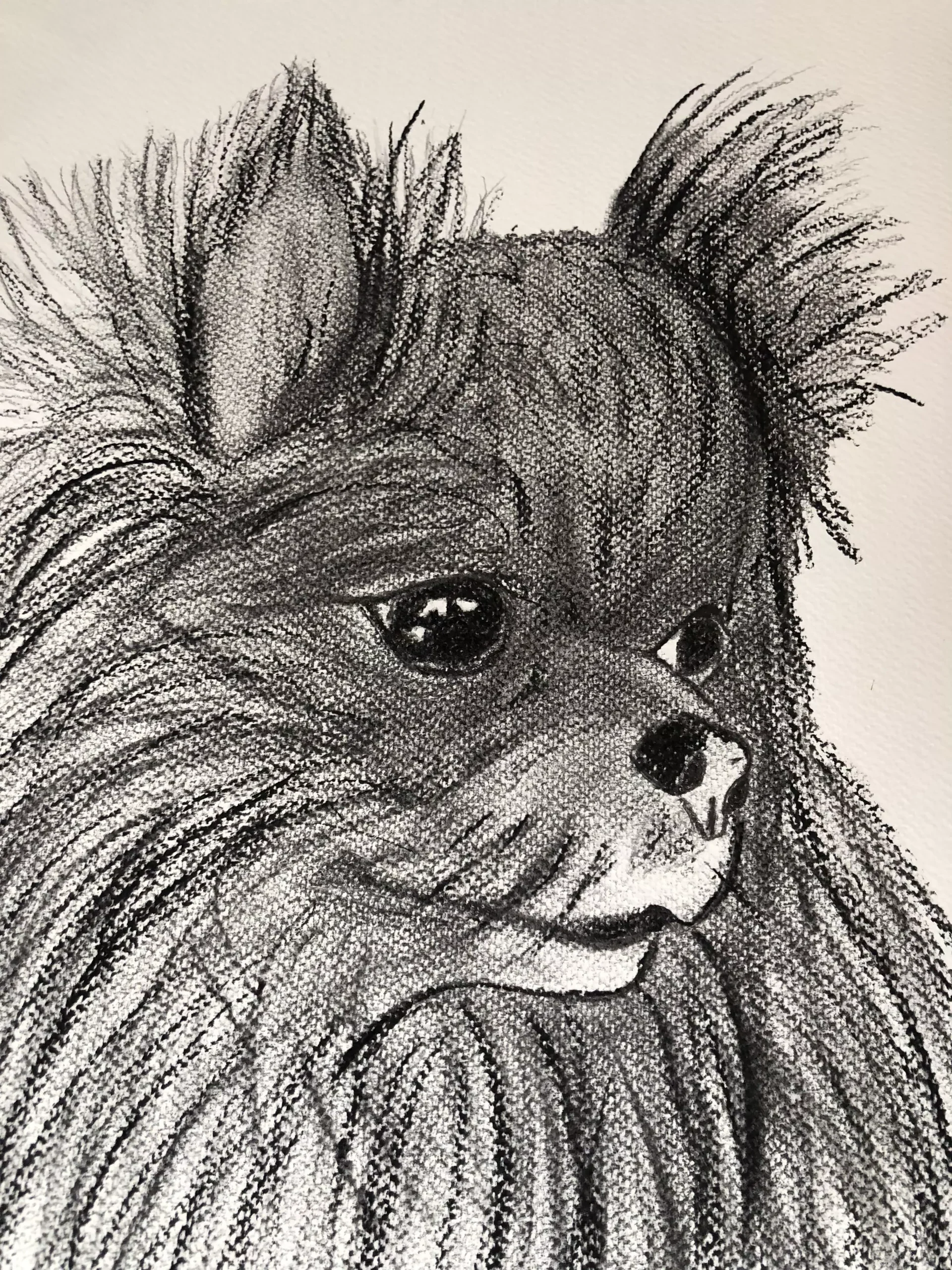 Jo